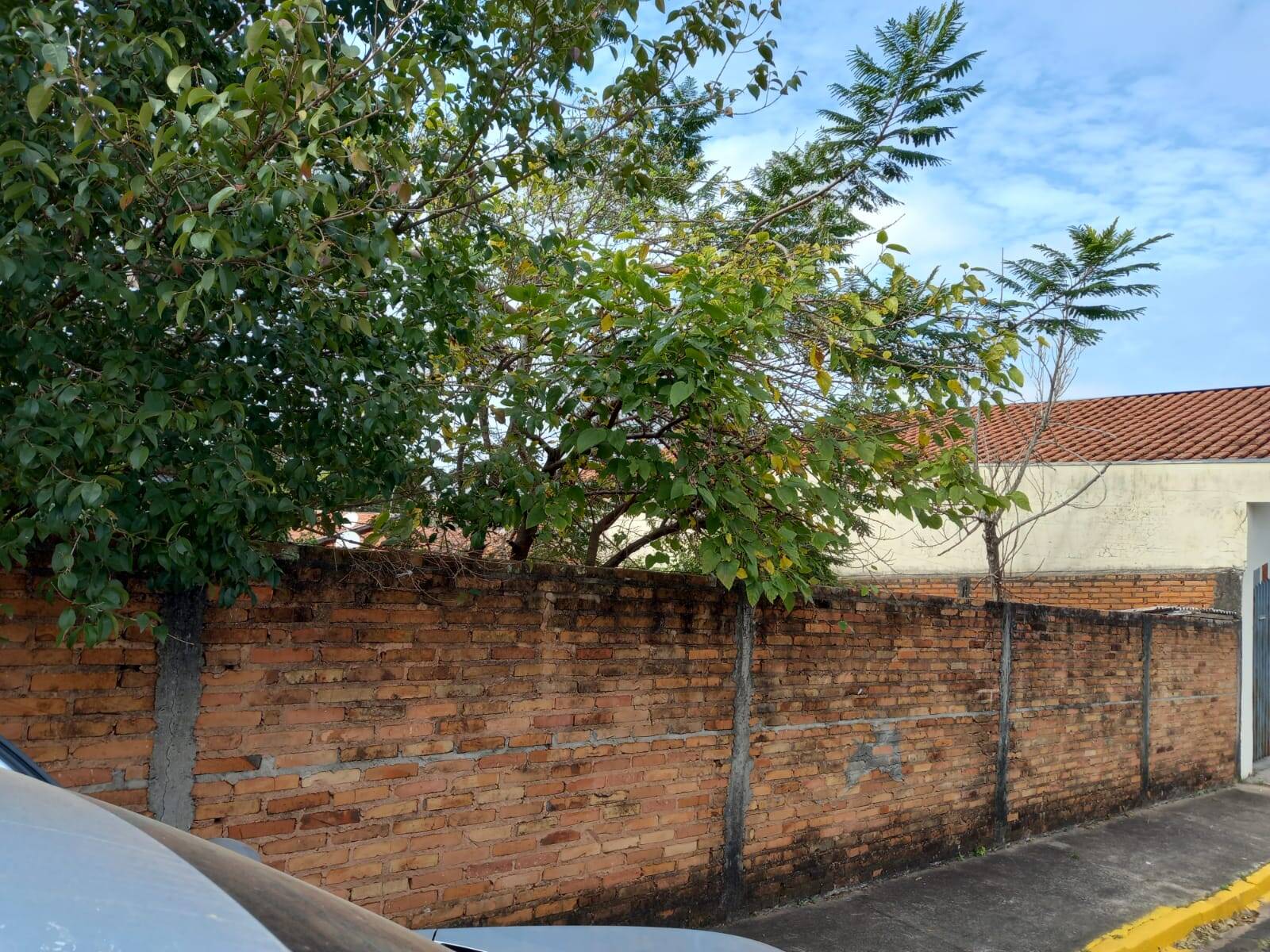 #TerSP 004 - Área para Venda em São Pedro - SP