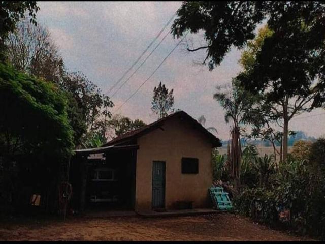#SF 005 - Sítio para Venda em São Pedro - SP - 1