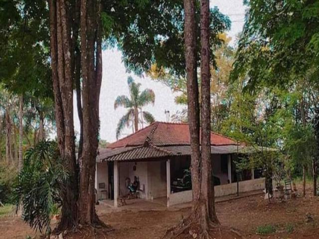 #SF 005 - Sítio para Venda em São Pedro - SP - 3